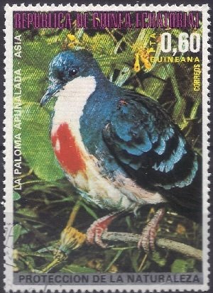 Stamp, Luzon Bleeding-heart (Gallicolumba luzonica), Equatorial Guinea,  , Birds, Animals (Fauna)