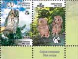 Stamp Common scope owl+1 coupon