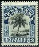 Palm