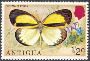 Stamp, Straight-barred Grass Yellow (Eurema elathea), Antigua and Barbuda,  , Animals (Fauna), Butterflies, Insects