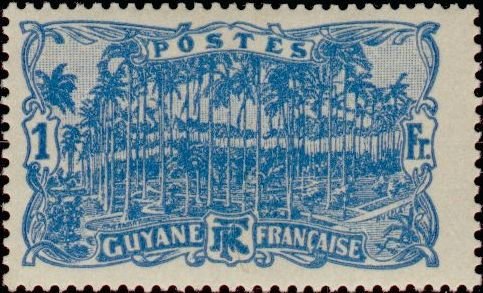 Cayenne: Place des Palmiers