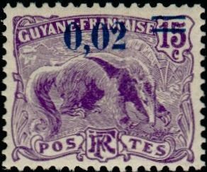 Giant Anteater (Myrmecophaga tridactyla)