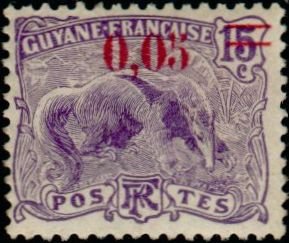 Giant Anteater (Myrmecophaga tridactyla)