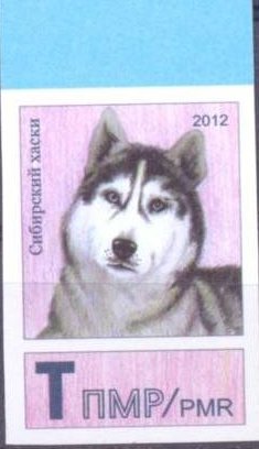 Stamp, Siberian Husky (Canis lupus familiaris), Transnistria,  , Mammals, Dogs, Animals (Fauna)