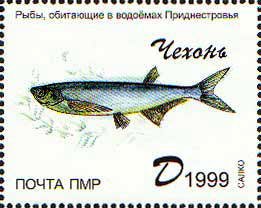 Stamp, Chehonr, Transnistria,  , Animals (Fauna), Fishes