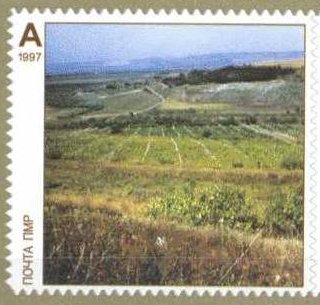 Vineyards
