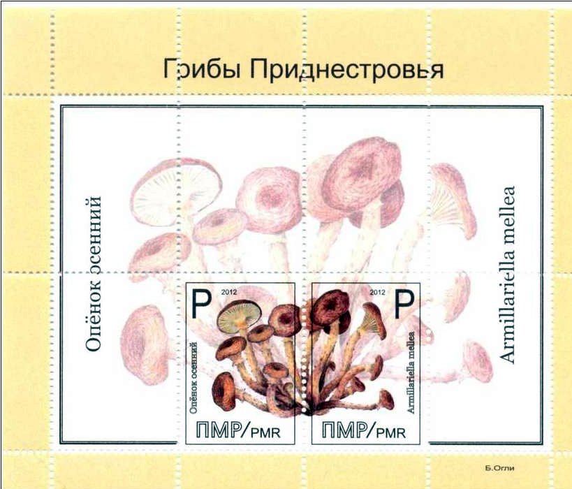 Souvenir Sheet, Mushrooms