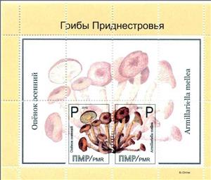 Souvenir Sheet, Souvenir Sheet, Mushrooms, Transnistria,  , Mushrooms