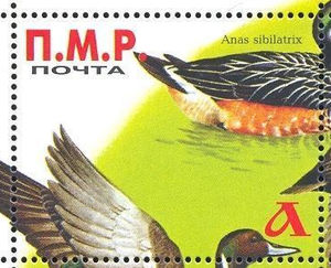 Stamp, Ducks, different, Transnistria,  