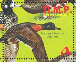 Stamp, Ducks, different, Transnistria,  