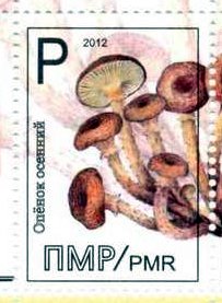 Mushroom, different