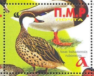 Stamp, Ducks, different, Transnistria,  