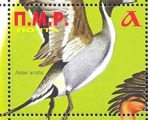 Stamp, Ducks, different, Transnistria,  