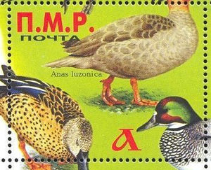 Stamp, Ducks, different, Transnistria,  