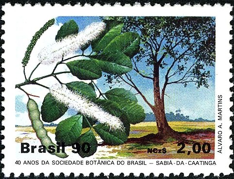 40 Years Botanical Society of Brazil