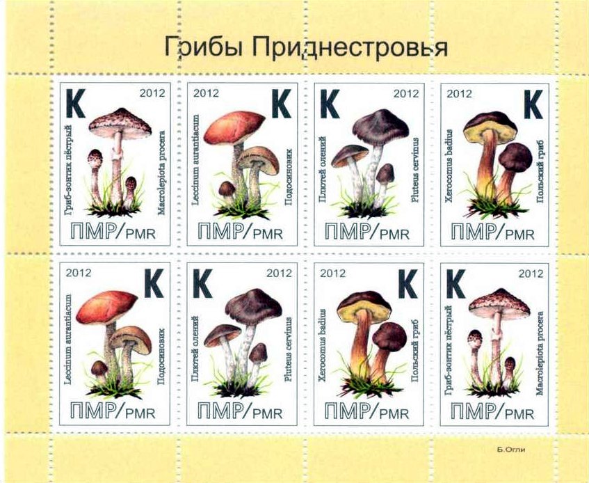 Mini sheet, Mushroom