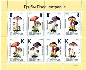 Mini Sheet, Mini sheet, Mushroom, Transnistria,  , Mushrooms