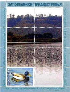Souvenir Sheet, Souvenir Sheet, Duck, Transnistria,  