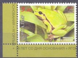 European Tree Frog (Hyla arborea)
