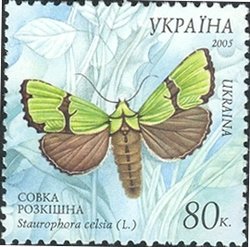 Moth (Staurophora celsia)