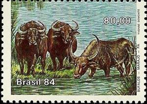 Stamp, Asian Water Buffalo (Bubalus arnee bubalis), Brazil,  , Environment Protection, Animals (Fauna)