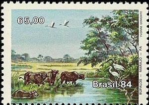 Stamp, Asian Water Buffalo (Bubalus arnee bubalis), Brazil,  , Environment Protection, Animals (Fauna)