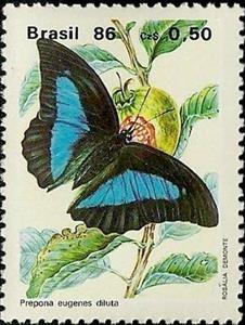Stamp, (Prepona eugenes diluta), Brazil,  , Insects, Butterflies, Animals (Fauna)
