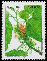 Stamp, Urera mitis, Brazil,  , Plants (Flora)
