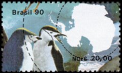 Chinstrap Penguin (Pygoscelis antarcticus)