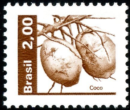Natural Economy Resources- Coconut