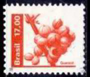 Natural Economy Resources- Guarana