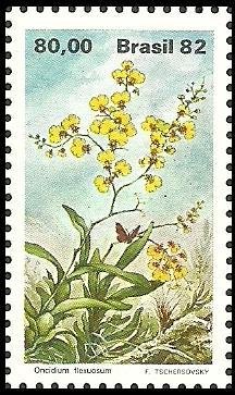 Cyrtochilum flexuosum (syn.Oncidium flexuosum)