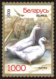Stamp Poultry – Ducks