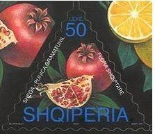 Pomegranate (Punica granatum)