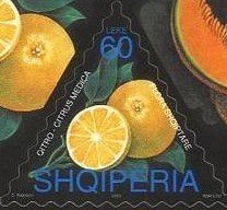 Stamp, Citron (Citrum medica), Albania,  , Fruits