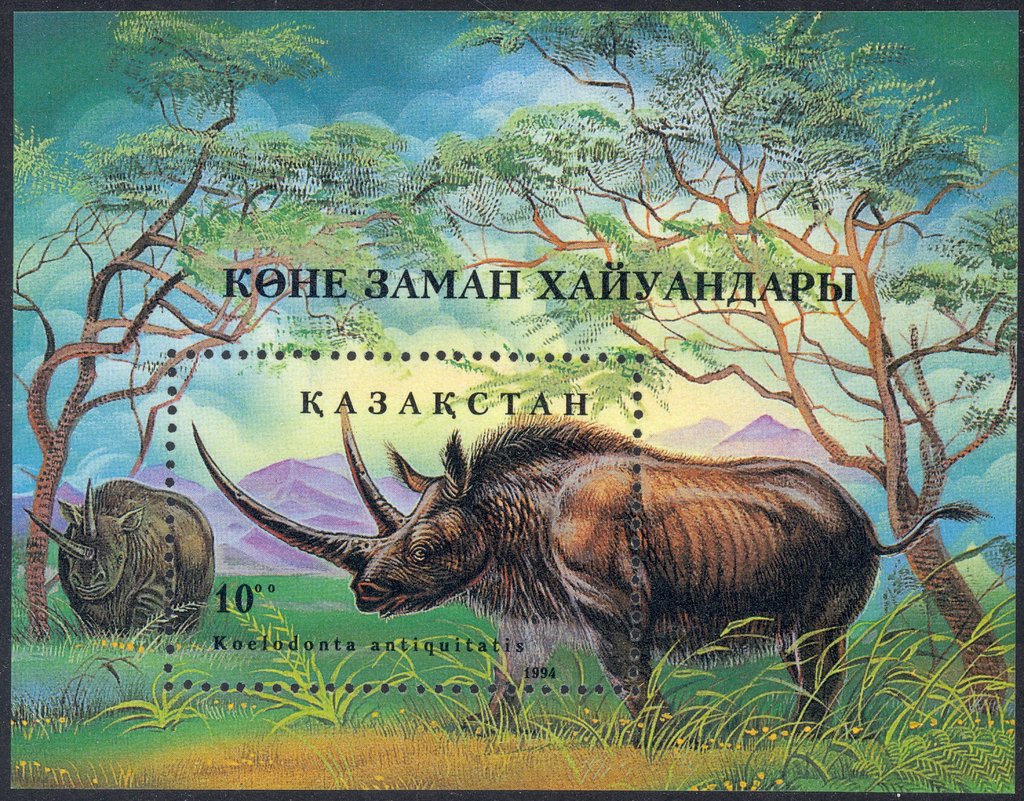 Koelodonta antiquitatis