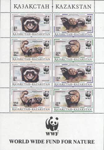 Marbled Polecat (Vormela peregusna)
