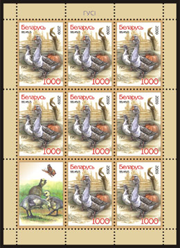 Sheetlet Poultry – Geese (8 stamps + 1 coupon)
