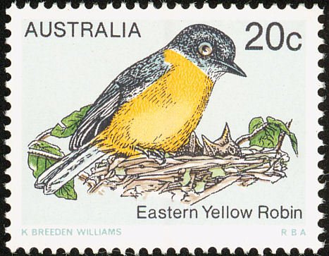 Eastern Yellow Robin (Eopsaltria australis)