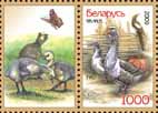 Stamp Poultry – Geese + 1 coupon