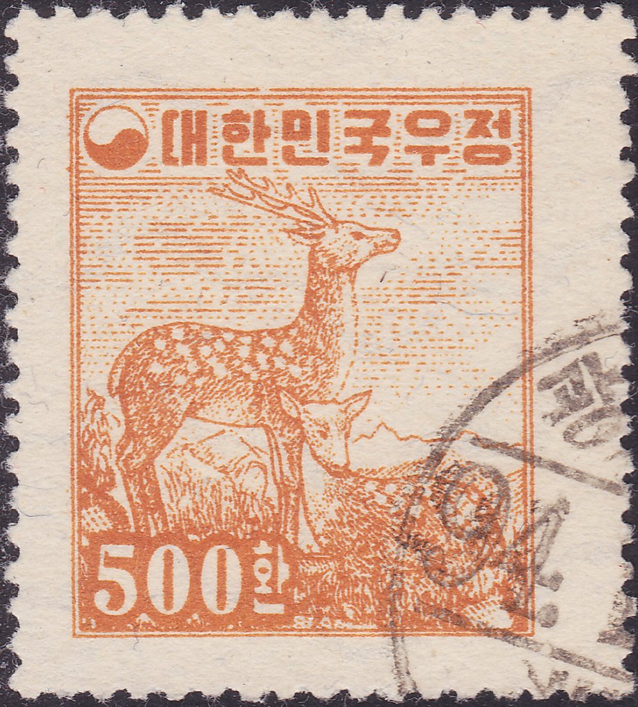 Sika Deer (Cervus nippon)