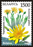 Stamp Endangered plants of Belarus – Scorzonera
