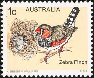 Stamp, Zebra Finch (Poephila guttata), Australia,  , Birds, Animals (Fauna)