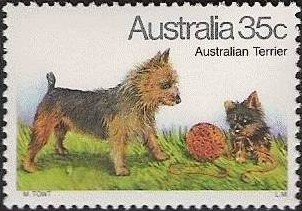 Australian Terrier