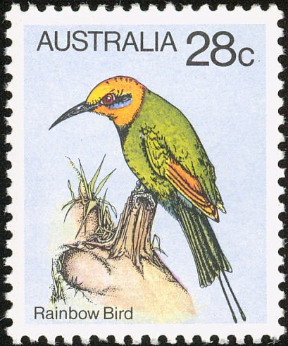 Rainbow Bee-eater (Merops ornatus)