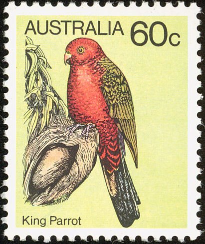 Australian King Parrot (Alisterus scapularis)