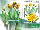 Stamp Endangered plants of Belarus – Scorzonera+1 coupon