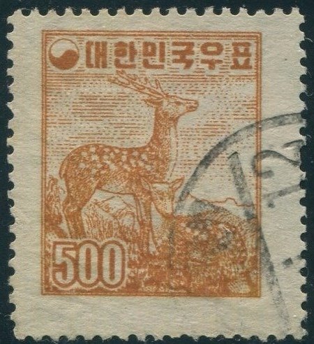 Sika Deer (Cervus nippon)
