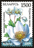 Stamp Endangered plants of Belarus – Snowdrop anemone
