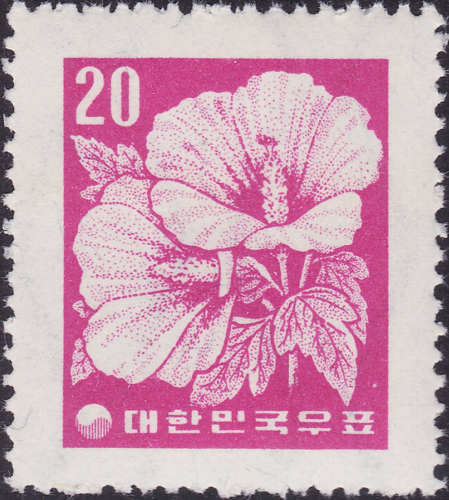 Hibiscus